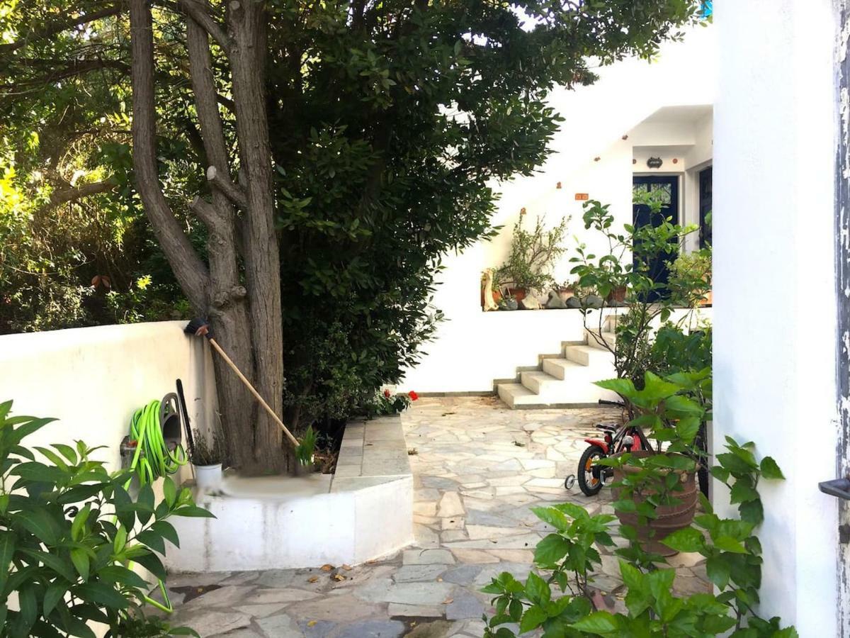 Cozy & Comfy Apt With Sea View In Chora Andros Экстерьер фото